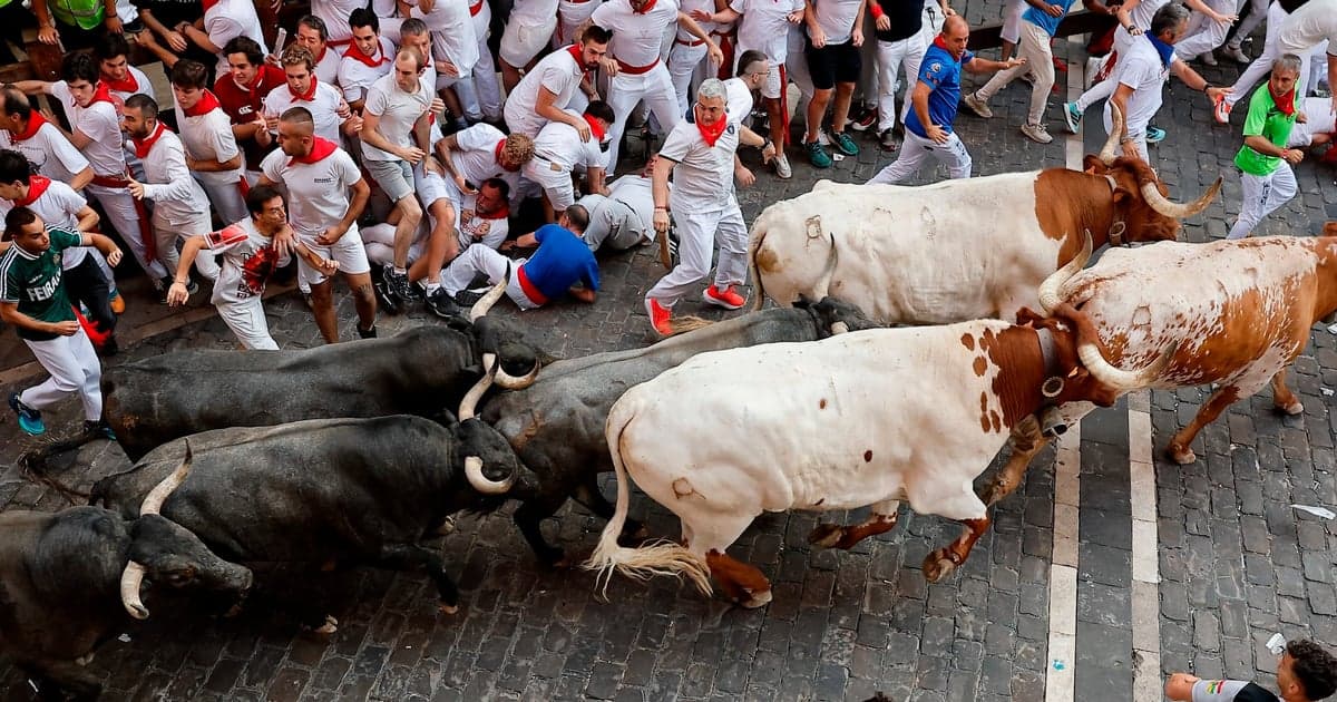 Byk ugodził uczestnika w twarz. Dramat podczas święta Sanfermines w Hiszpanii