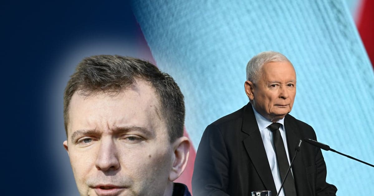PiS zakazał działalności w stowarzyszeniach. Schreiber zabrał głos w sprawie „Rozwój Plus”