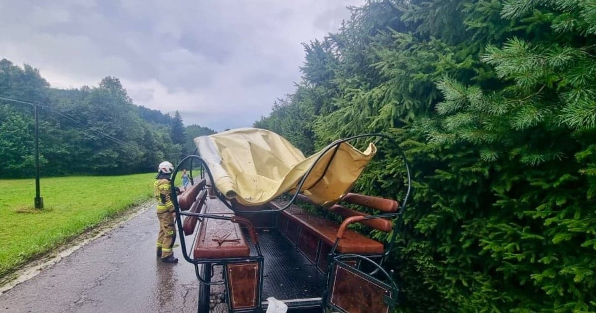Skutki burz nad Polską. Na bryczkę spadło drzewo. Są poszkodowani
