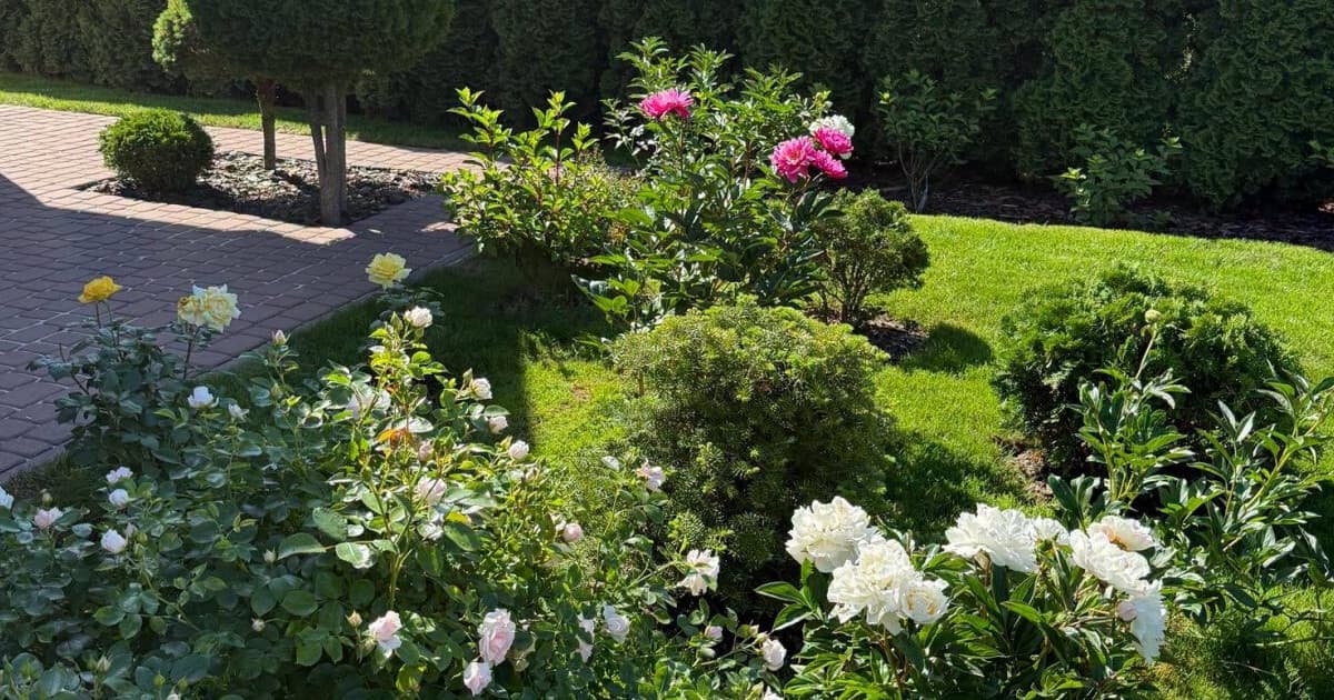 •14:55 Piękna Wieś Pomorska. Znamy laureatów gminnego etapu w Cedrach Wielkich