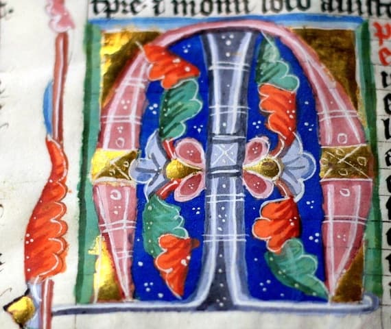16. tydzień zwykły