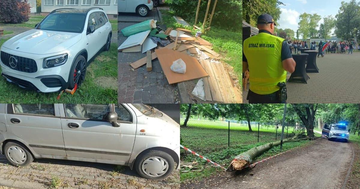 175 interwencji straży miejskiej w tydzień.