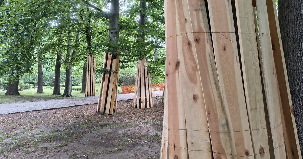 21.07.2026 Co się dzieje w Parku Szczytnickim? Zabezpieczyli drzewa deskami Nowe artykuł z galerią zdjęć