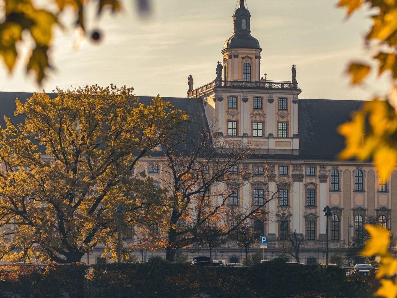 24 osoby na jedno miejsce. Ten kierunek studiów to hit