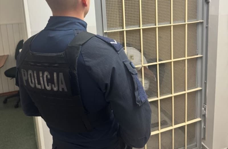 25-latek próbował uciec przed policją. Ma zakaz prowadzenia aut