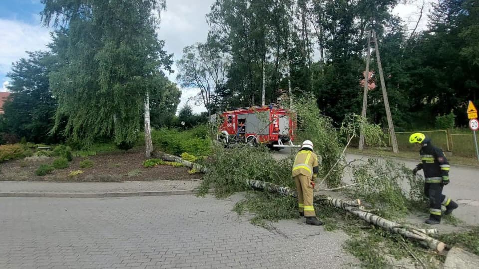 9 lipca 2026, 08:38 REGION 131 interwencji strażaków od początku tygodnia. Silny wiatr i sztorm dały się we znaki na Pomorzu