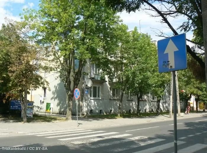 9 lipca 2026Matura w powiecie bełchatowskim lepsza od krajowej średniej. Zaskakuje wynik techników
