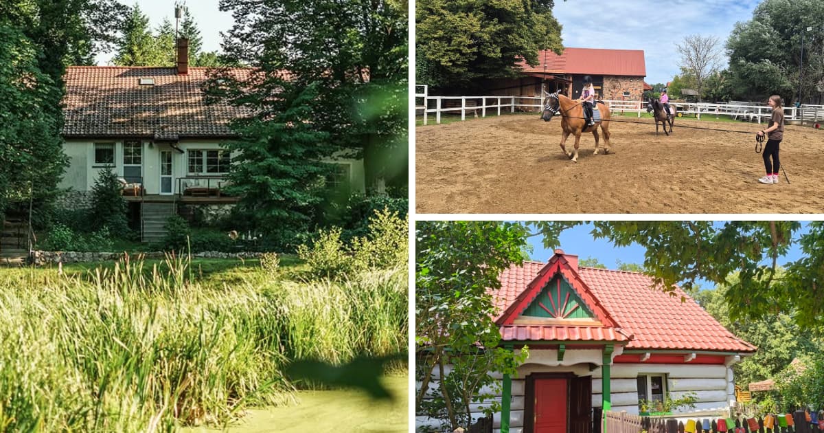 Agroturystyka w Łódzkiem. Gdzie odpoczniesz na łonie natury?