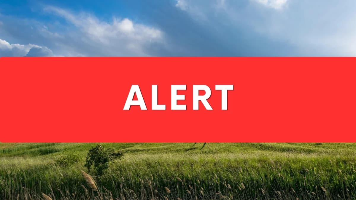 Alert dla WielkopolskiWiadomości