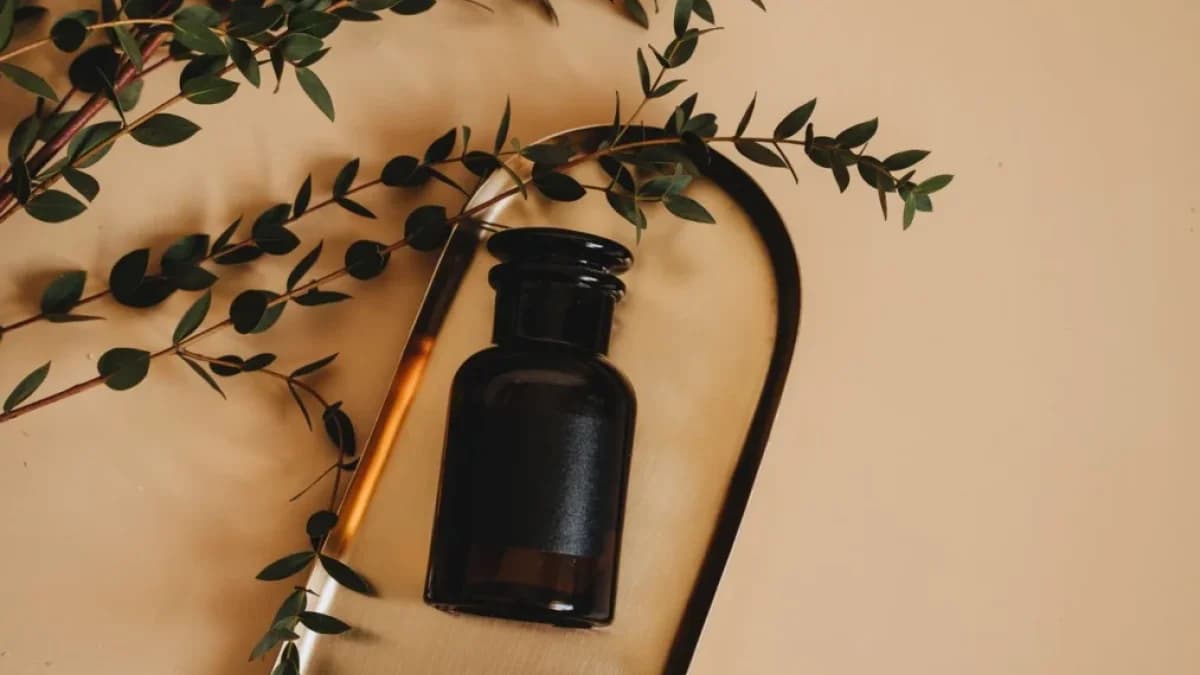 Art. Spons.Eau de toilette – czym różni się od EDP i kiedy warto wybrać wodę toaletową?