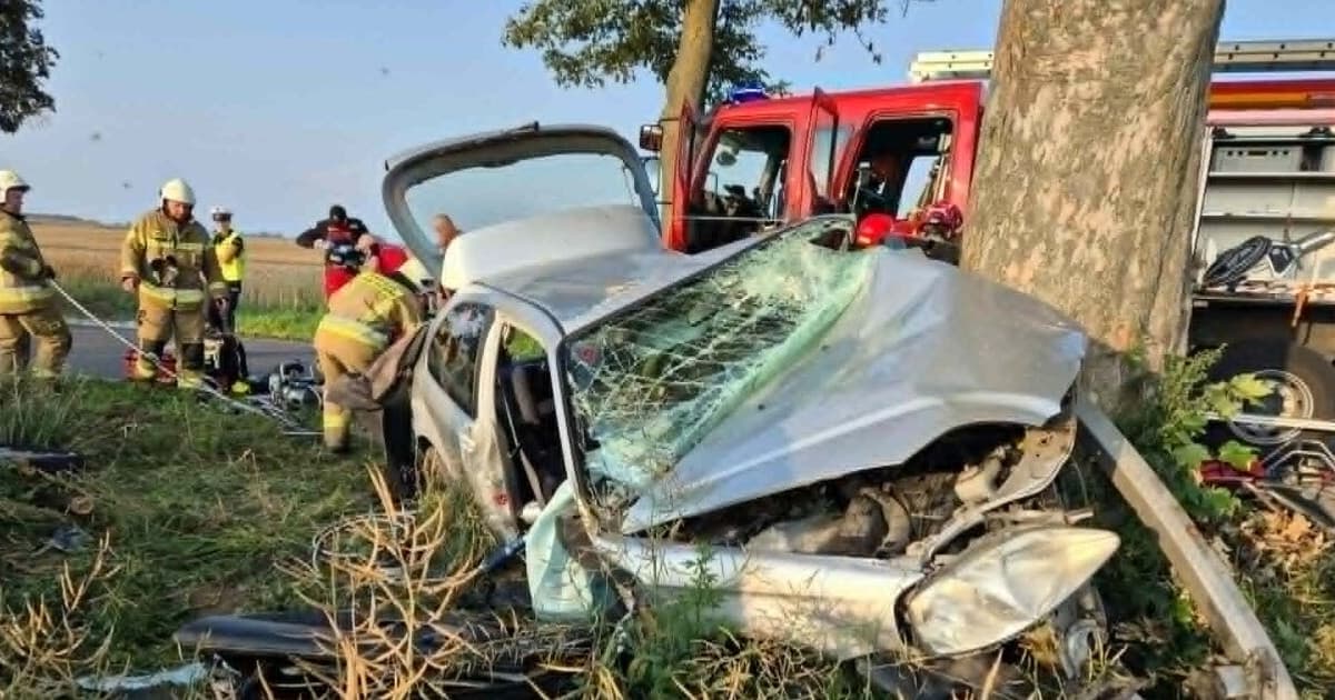 Auto z dużą siłą uderzyło w drzewo, kierowca był uwięziony!