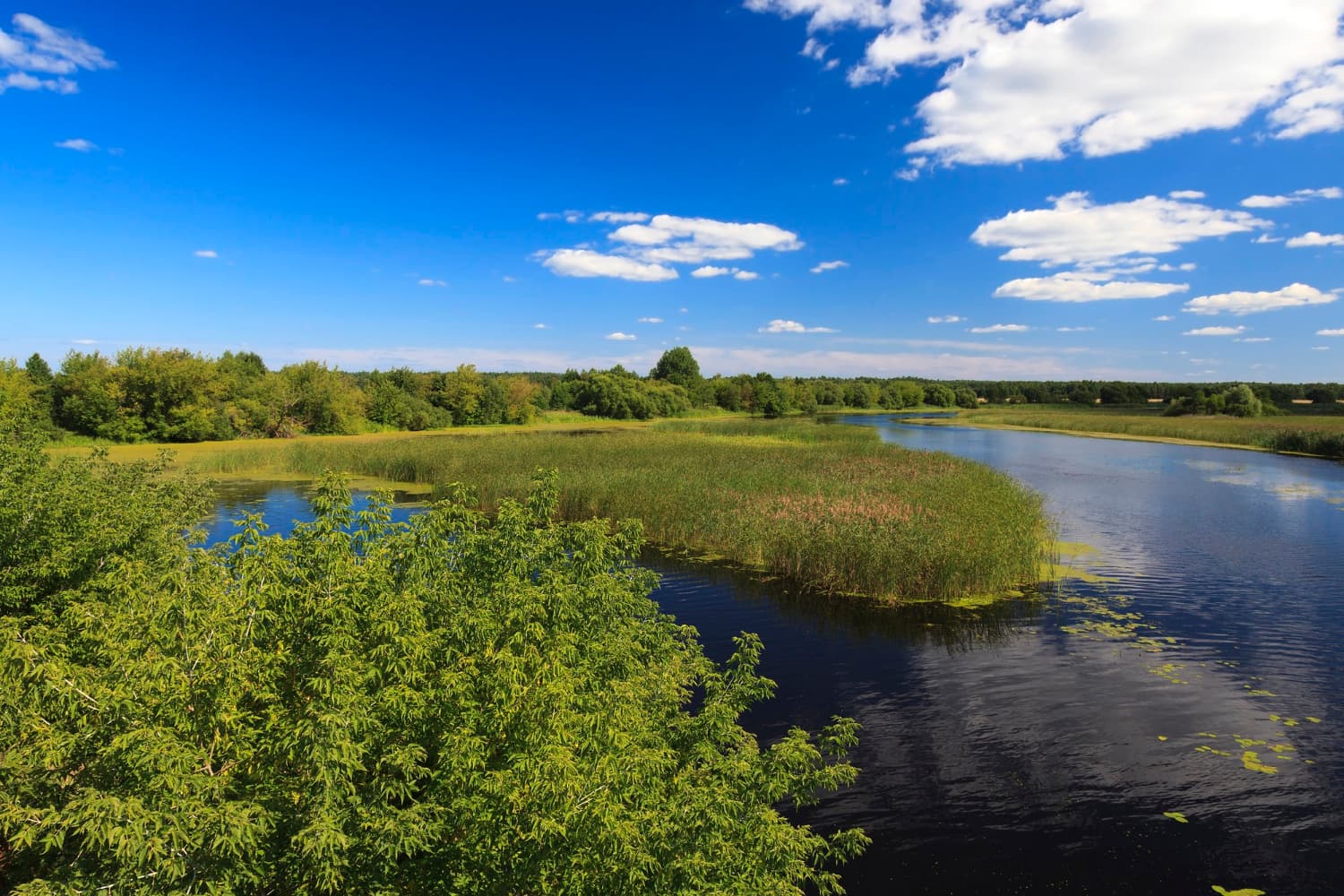 Bagna, które ratują klimat. Dlaczego turyści coraz częściej wybierają „turystykę wodną” na Podlasiu?
