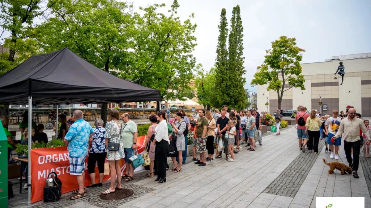 Będą rozdawać prezenty za darmo w centrum miasta. Jest jednak jeden warunek