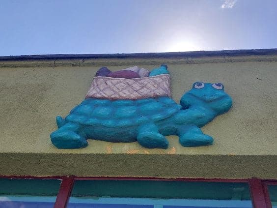 Będą wybory w Żółwiej Błoci. Pani sołtys zrezygnowała