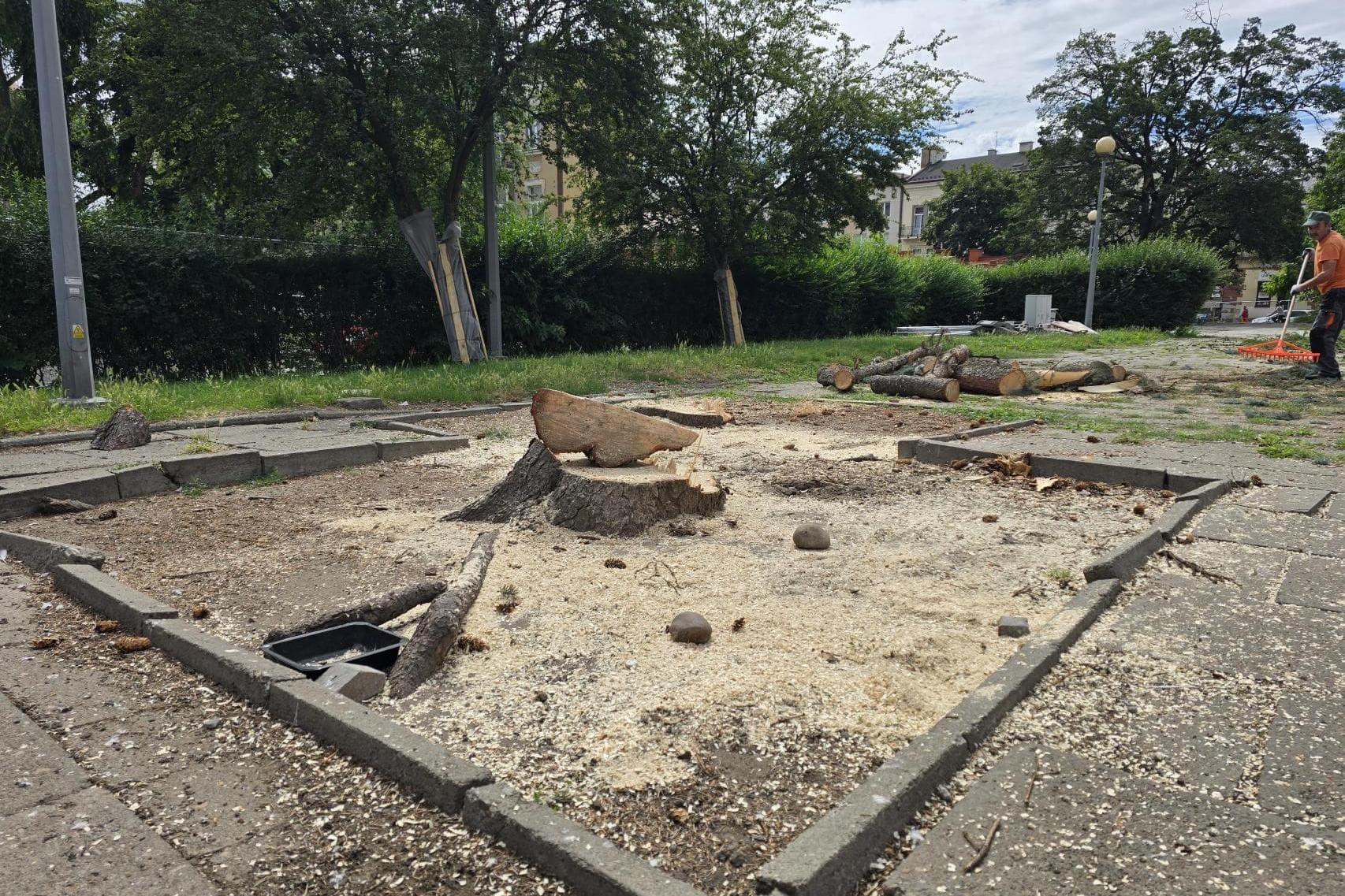 Będzie remont, jest wycinka. Prawie bezdrzewny Plac Drzewny w Tarnowie