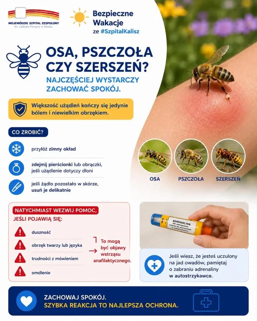 Bezpieczne wakacje: jak reagować na użądlenia os, pszczół i szerszeni?