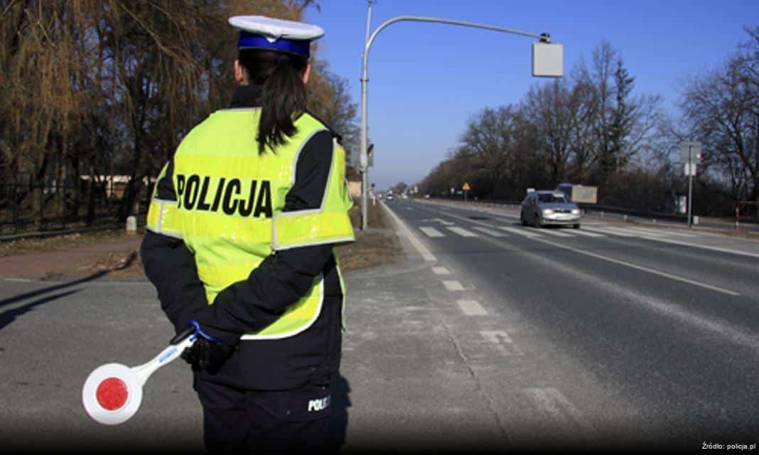 Bezpieczne zbieranie jagód w Olsztynie – zasady i konsekwencje