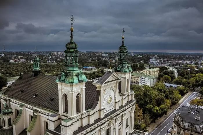 Bezpłatne czipowanie i kastracja zwierząt w Lublinie. Sprawdź zasady