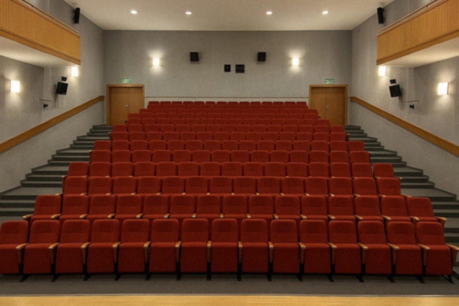 Bezpłatny pokaz filmu „Anita” w Nowym Dworze Mazowieckim