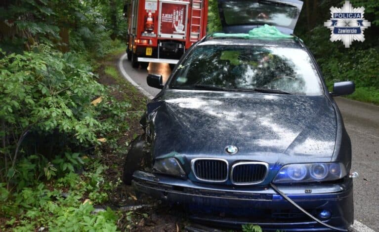 BMW uderzyło w drzewo. 30-latek miał potem zaatakować mundurowych