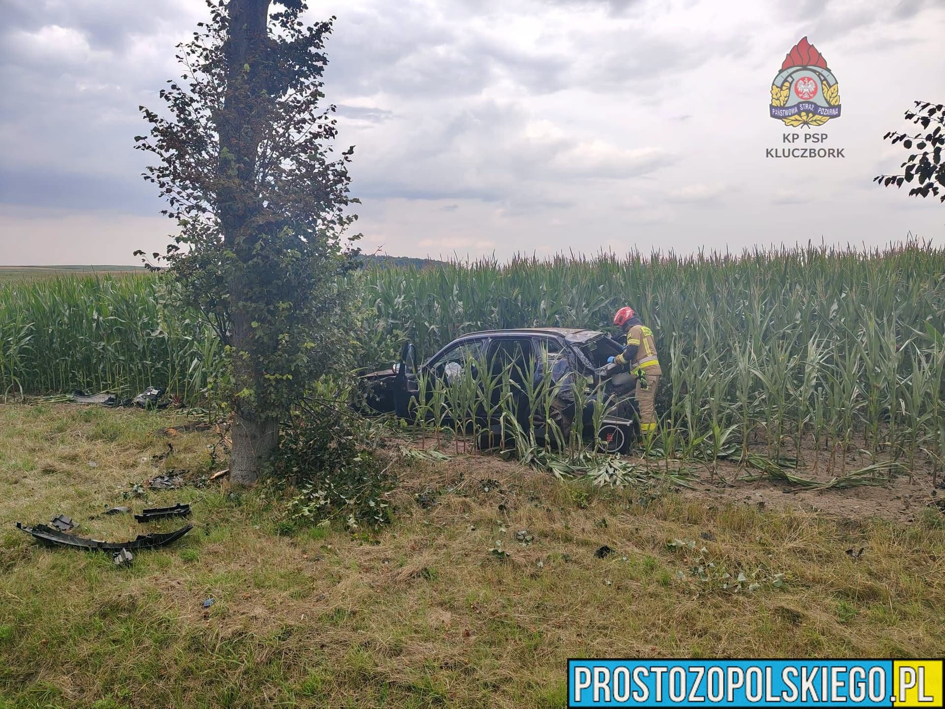 BMW wypadło z drogi i uderzyło w drzewo. Kierowca trafił pod opiekę ratowników
