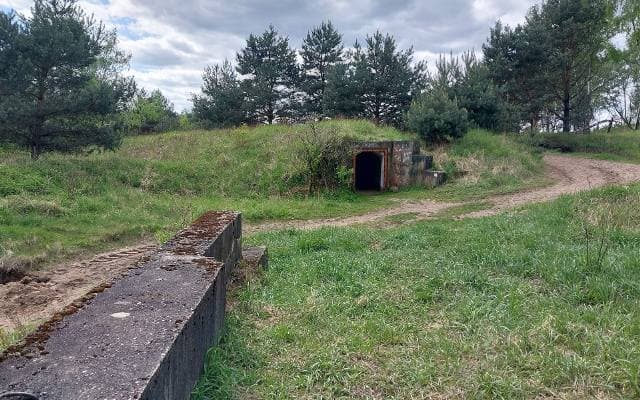 Bunkry w dolnośląskim lesie zapomniane przez świat. "Podziemne miasto" pełne tajemnic