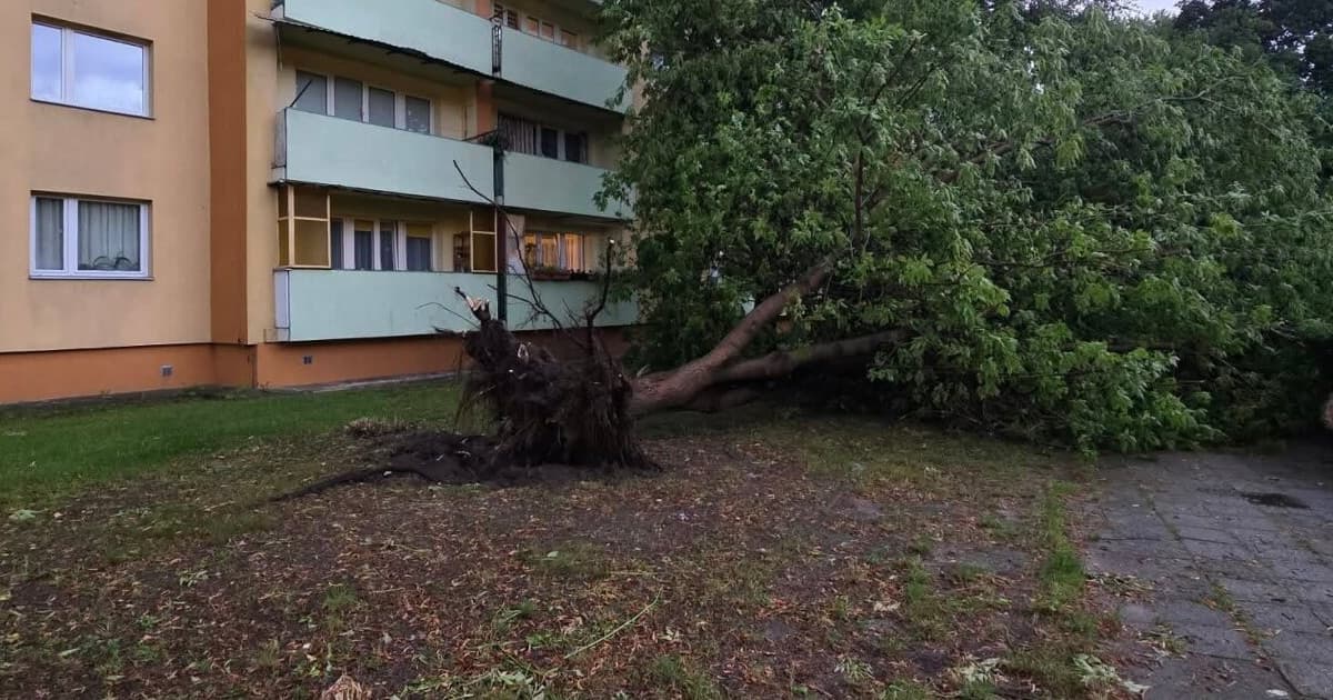 Burza nad Tarnobrzegiem. Strażacy interweniowali sześć razy