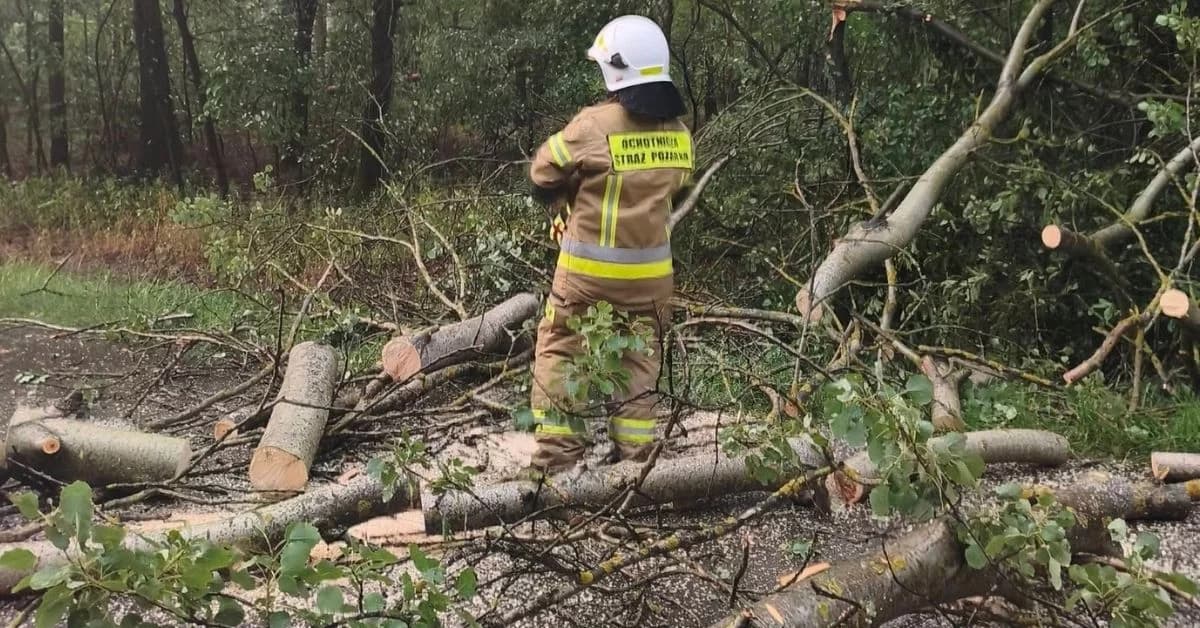 Burza zostawiła po sobie sporo pracy. Strażacy interweniowali kilkanaście razy w całym powiecie
