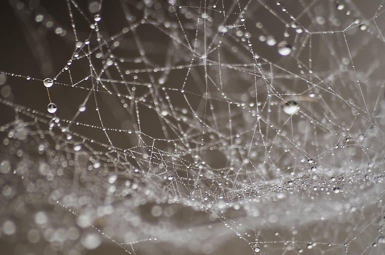 Bydgoszcz: rześkie poranki, ciepłe dni i miejscami przelotny deszcz
