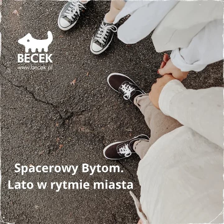 Bytom z innej perspektywy - pięć spacerów przez historię miasta