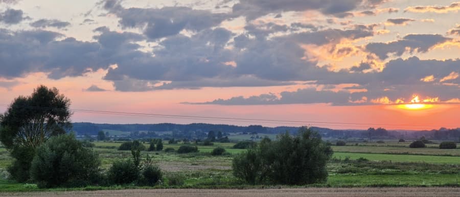 Całkiem przyjemne lato. Prognoza pogody na nowy tydzień
