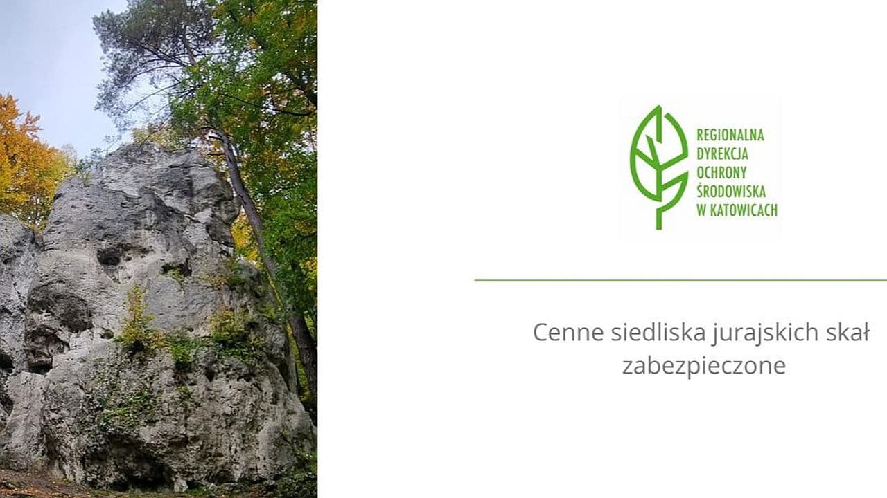 Cenne siedliska jurajskich skał lepiej zabezpieczone