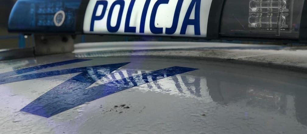 Chihuahua bez kagańca i policyjna interwencja. Kierowca autobusu zabrał głos