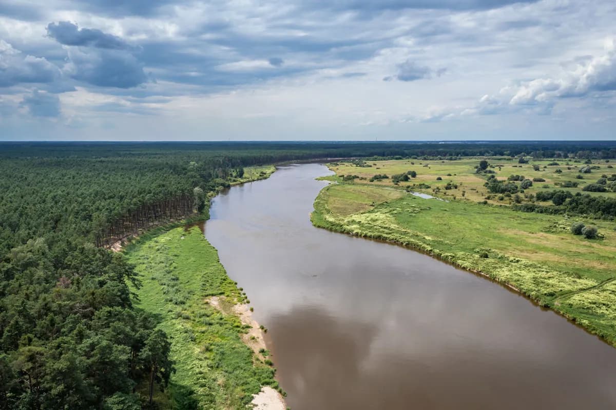 Ciągną na potęgę