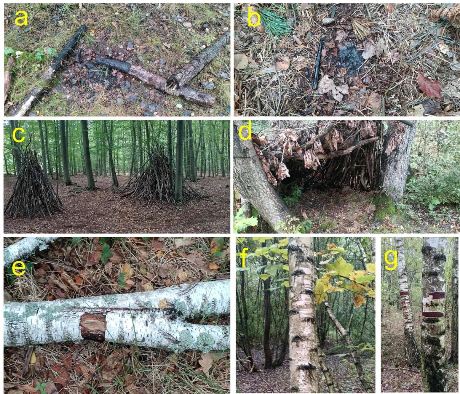 Co zostawili po sobie w Puszczy Niepołomickiej miłośnicy bushcraftu?