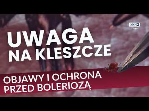 🕷️ CORAZ WIĘCEJ ZACHOROWAŃ NA BORELIOZĘ! || JAK ROZPOZNAĆ PIERWSZE OBJAWY?