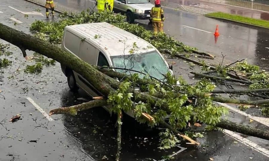 Cudem przeżył upadek drzewa podczas nawałnicy. Kto odpowie za kompletnie zniszczone auto? - foto