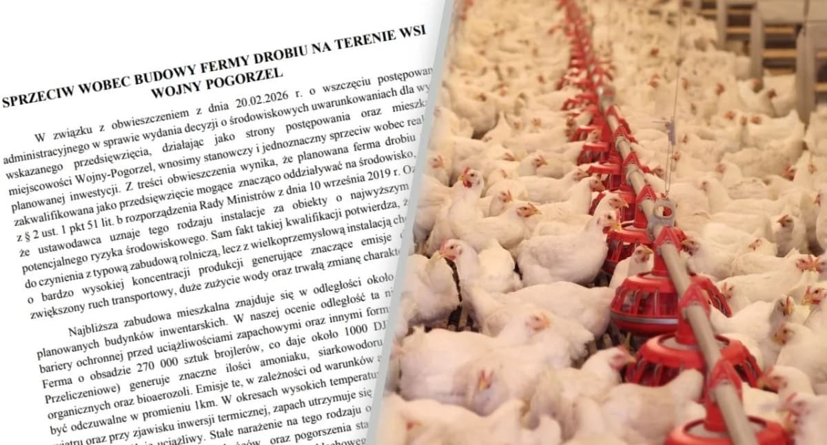 Cztery kurniki na 270 tys. kurczaków pod Szepietowem? Mieszkańcy protestują