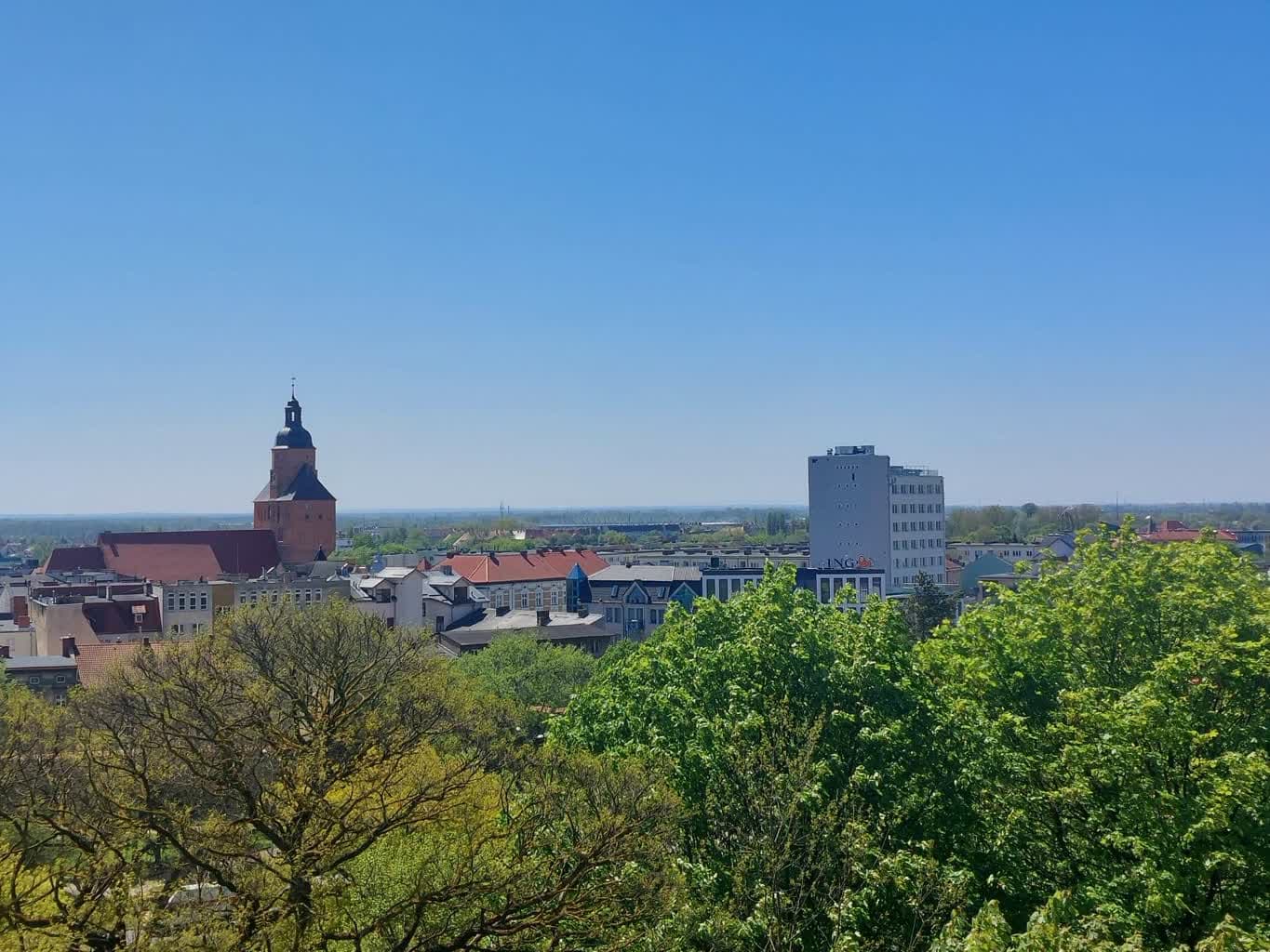 Czy w Gorzowie będzie referendum?