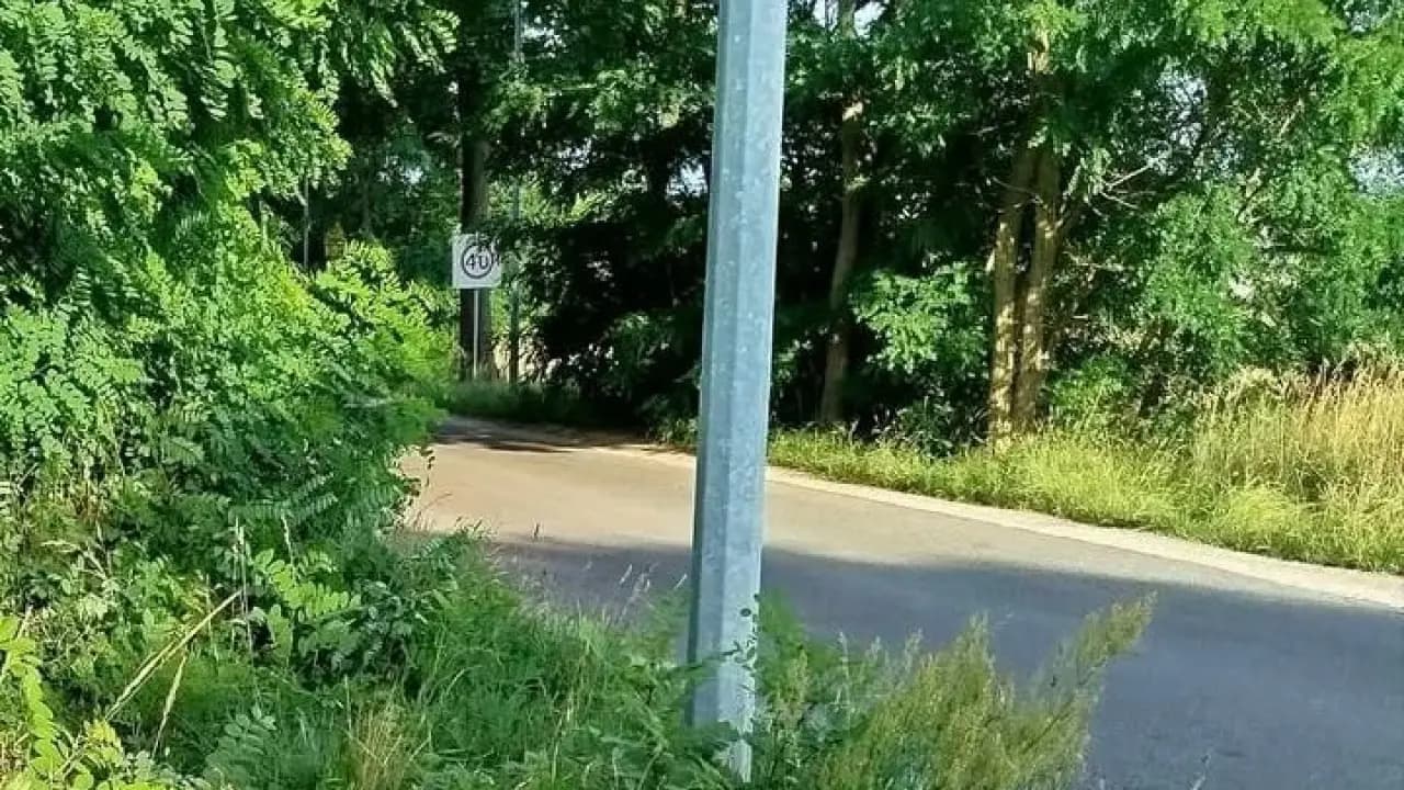 Czytelniczka apeluje o uporządkowanie zieleni na osiedlu Przylesie