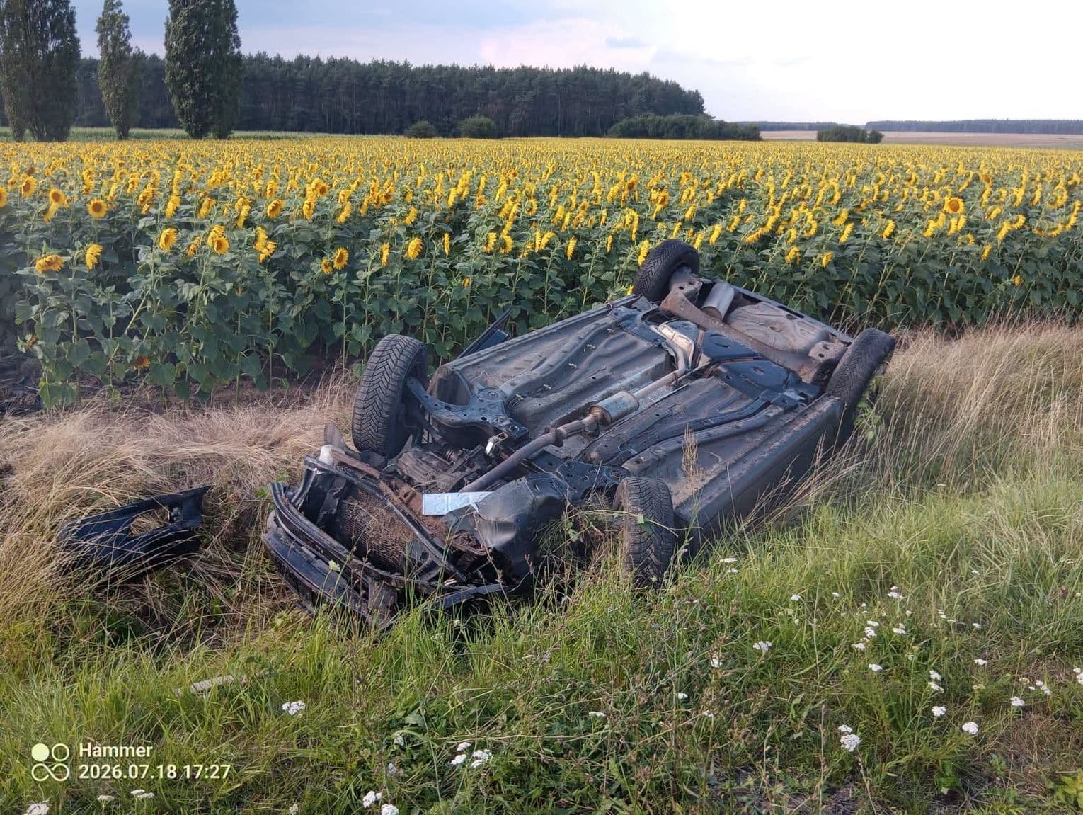 Dachowanie auta na drodze wojewódzkiej nr 409. Dwie osoby poszkodowane