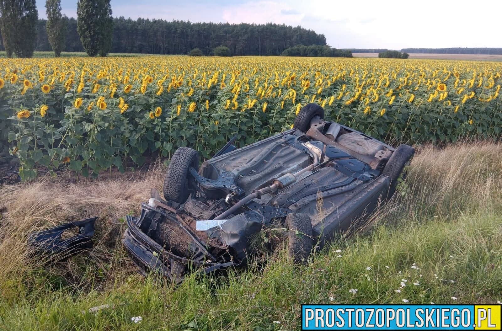 Dachowanie samochodu osobowego na DW 409. Jedna osoba poszkodowana