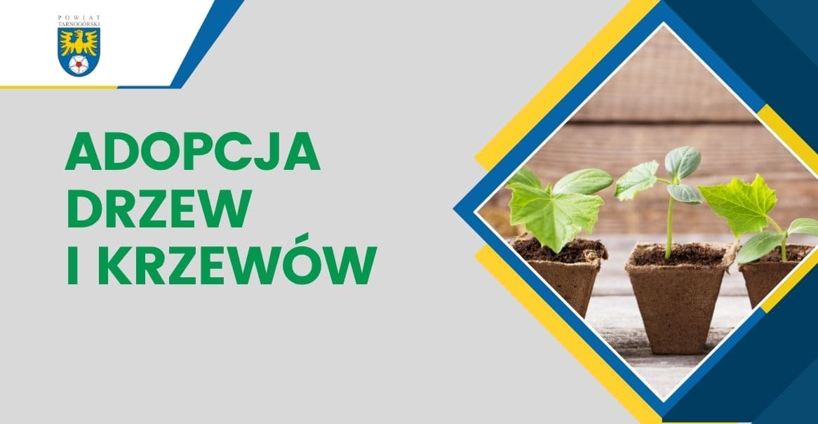 Darmowe sadzonki drzew i krzewów dla mieszkańców Powiatu Tarnogórskiego