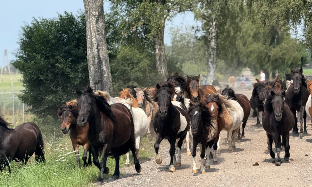 Dni otwarte w Modlimowie. Ośrodek zaprasza 11 i 12 lipca