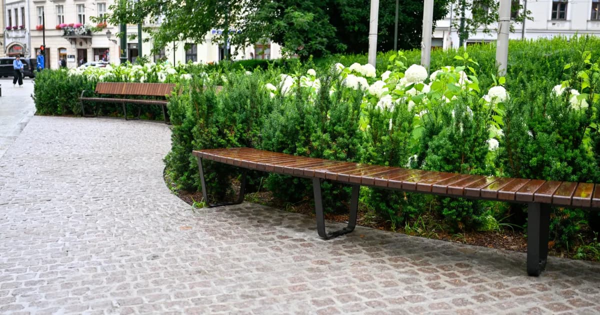 Do krakowskiej rekordzistki im daleko. Za co miasto zapłaciło najwięcej?