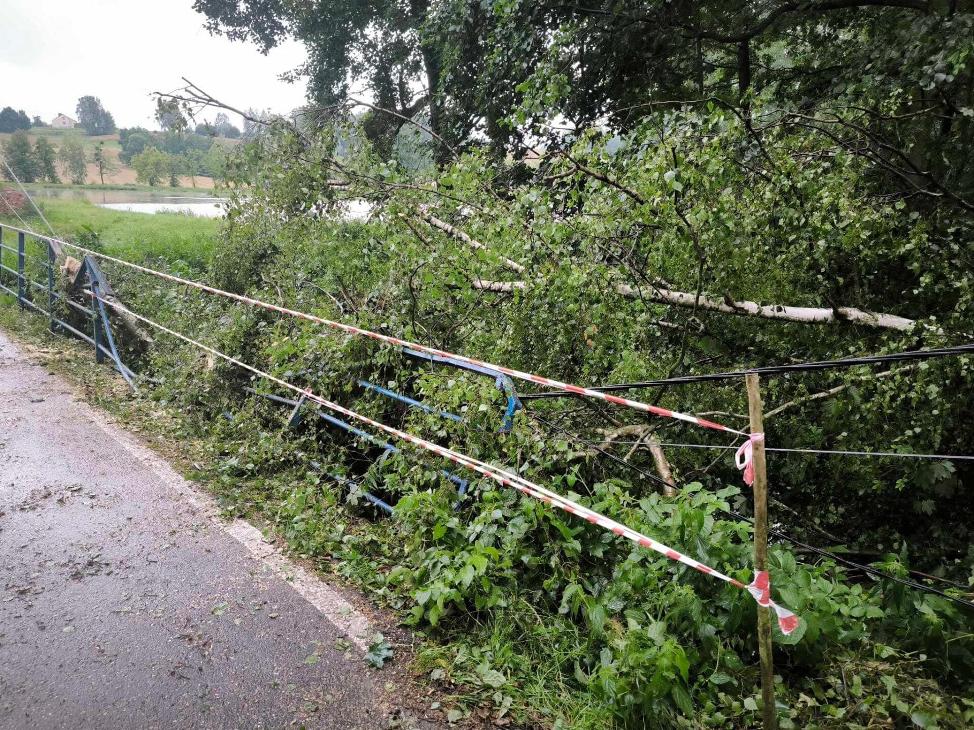 Drzewo uszkodziło linię energetyczną i barierkę. Mieszkańcy czekają na naprawę