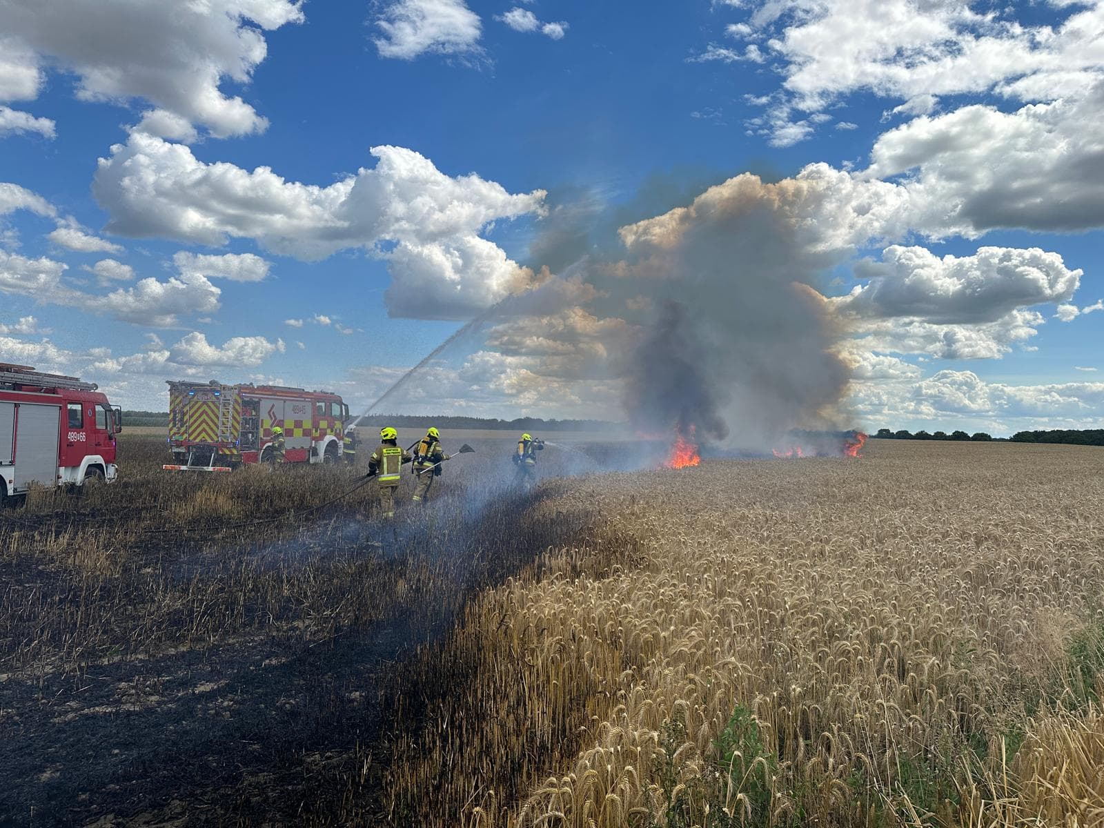 Dwa hektary zboża w ogniu. Strażacy uratowali zabudowania