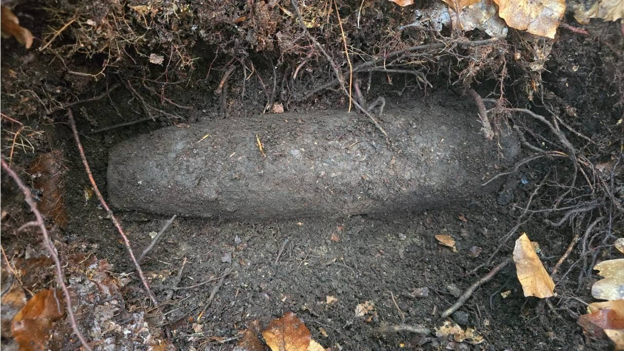 Dwa niewybuchy znalezione w lesie w Brodach. Na miejscu pracowali saperzy