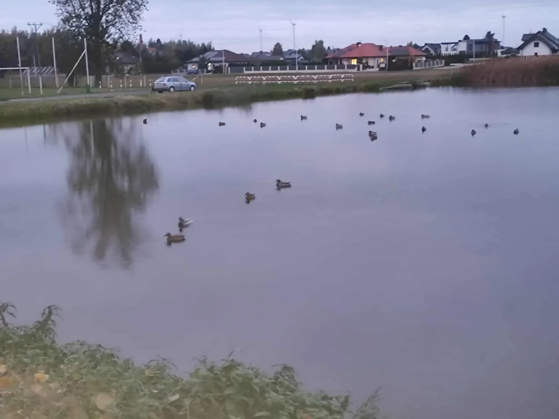 Dzień dobry Krotoszyn! Pogoda znów się zmieni. Możliwe burze i przelotny deszcz