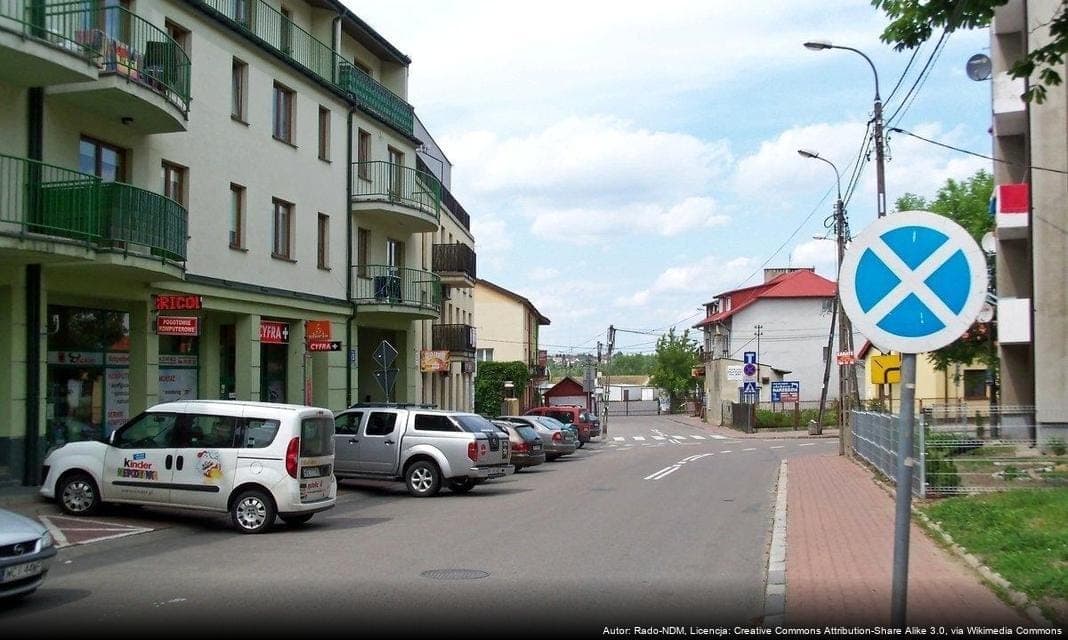 Dzień Służb Mundurowych w Parku Miejskim